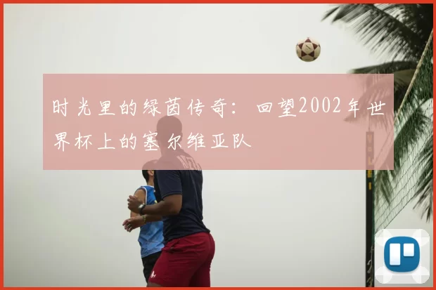 时光里的绿茵传奇:回望2002年世界杯上的塞尔维亚队