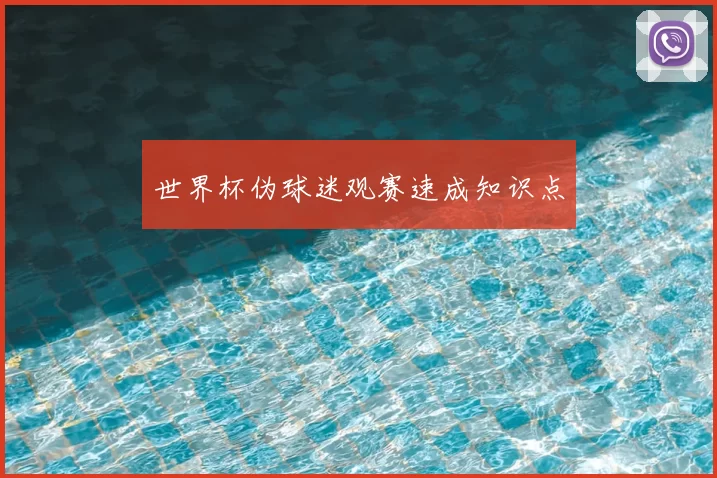 世界杯伪球迷观赛速成知识点