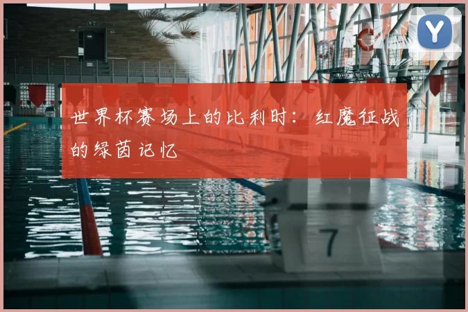 世界杯赛场上的比利时:红魔征战的绿茵记忆