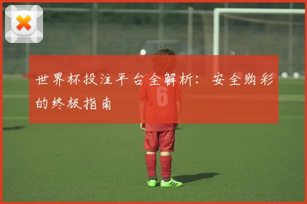 世界杯投注平台全解析：安全购彩的终极指南