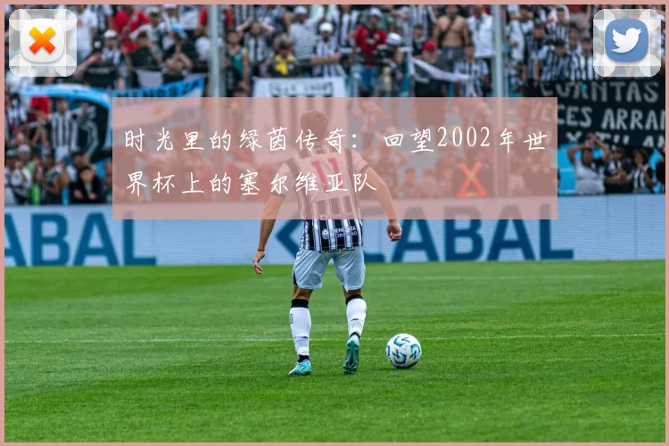 时光里的绿茵传奇:回望2002年世界杯上的塞尔维亚队