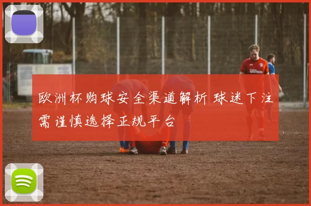 欧洲杯购球安全渠道解析 球迷下注需谨慎选择正规平台