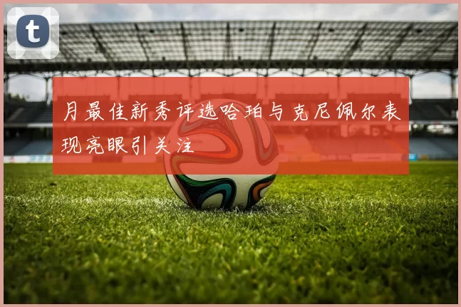 月最佳新秀评选哈珀与克尼佩尔表现亮眼引关注