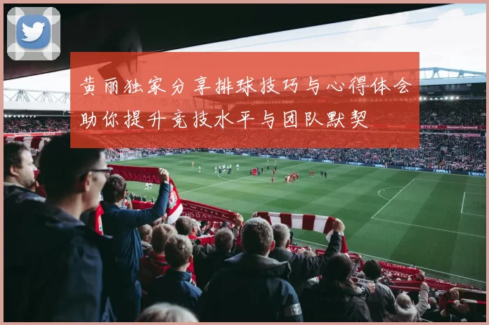 黄丽独家分享排球技巧与心得体会助你提升竞技水平与团队默契