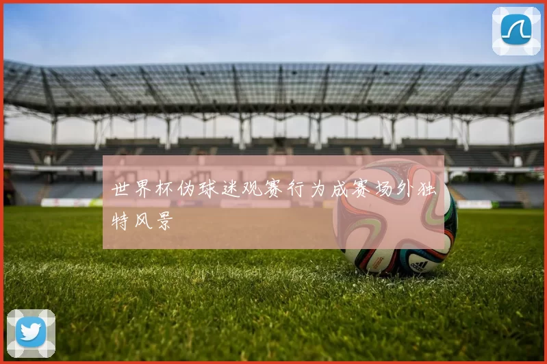 世界杯伪球迷观赛行为成赛场外独特风景