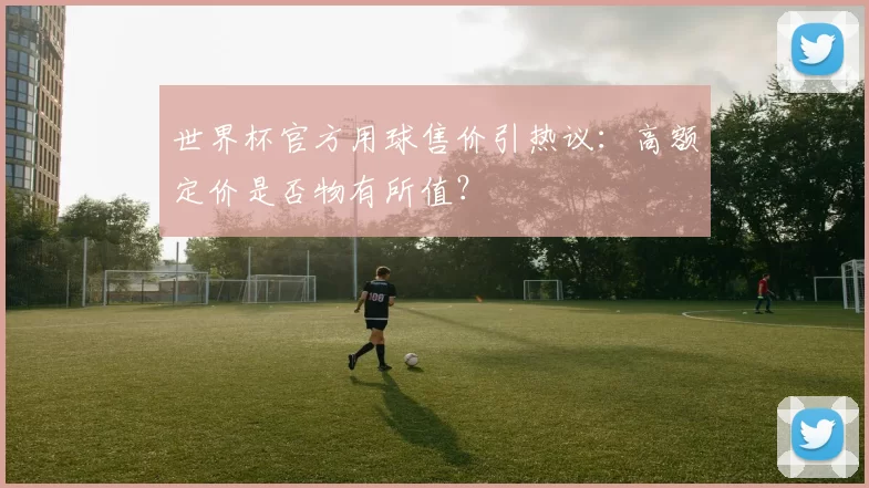 世界杯官方用球售价引热议：高额定价是否物有所值？
