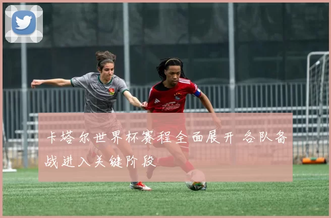 卡塔尔世界杯赛程全面展开 各队备战进入关键阶段