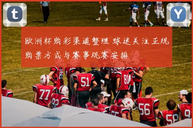 欧洲杯购彩渠道整理 球迷关注正规购票方式与赛事观赛安排