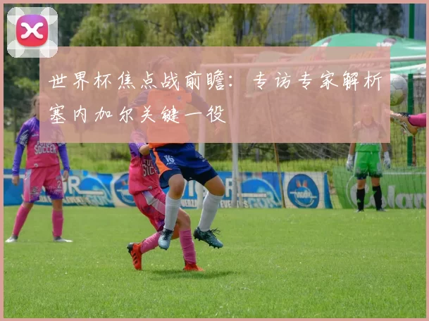 世界杯焦点战前瞻：专访专家解析塞内加尔关键一役