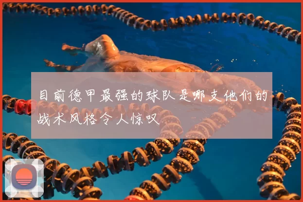 目前德甲最强的球队是哪支他们的战术风格令人惊叹