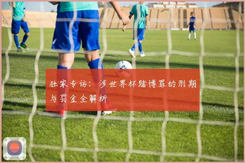 独家专访：涉世界杯赌博罪的刑期与罚金全解析