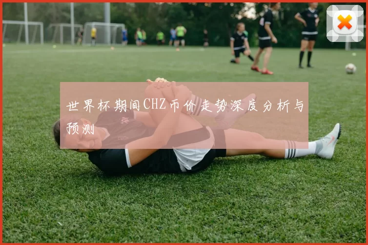 世界杯期间CHZ币价走势深度分析与预测