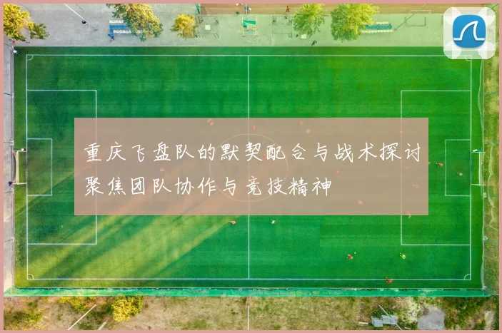 重庆飞盘队的默契配合与战术探讨聚焦团队协作与竞技精神