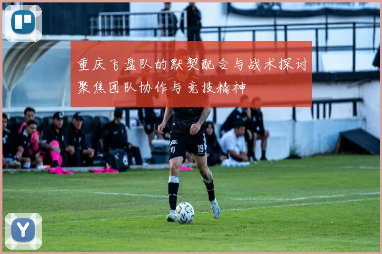 重庆飞盘队的默契配合与战术探讨聚焦团队协作与竞技精神